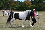 WJ6_6587