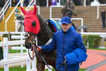 141125-Race 4-Haddex Des Obeaux-0157