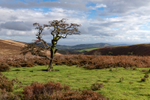 Exmoor portfolio