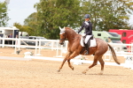 SBM_03721