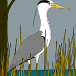 Heron