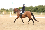 SBM_005962