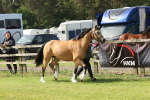 SBM_02204