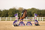 SBM_04175