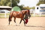 SBM_04542