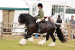 SBM_06166