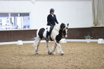 SBM_017252