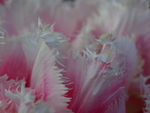 P5070013