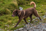 Kentmere-19