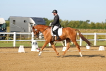 SBM_010513