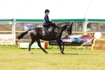 SBM_13316