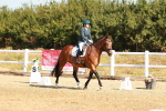 SBM_016708