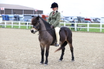 SBM_006801