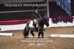 BPP_6619
