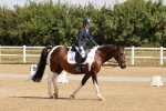 SBM_000415