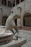 San Agustín, cloister fountain lion