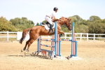 SBM_000958