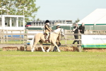 SBM_11054