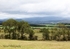 Scottish Landscape