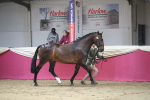 SBM_00587