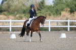 SBM_020274