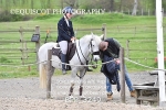 SAT CLASS 10 Club/ Unaffiliated 80cms Open portfolio