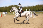 SBM_002226