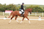 SBM_009337