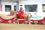 SBM_13568