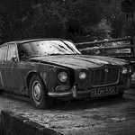 Classic car in need of love