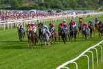 Race 7 17.00pm William Hill Boosts Every Day Handicap portfolio