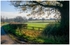 Along Yeldersley Lane
