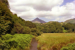 Cnicht from Tan Lan