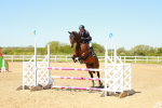 SBM_000832