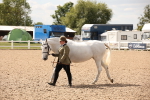 SBM_04628