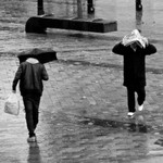 Rain n' Brollies portfolio