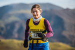 Sale Fell-535
