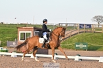 195-Sarah.Millis-Impressive.VDC portfolio