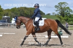 BPP_6126