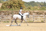 SBM_003520