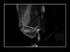 DTXpress IV / The Millenium Double Bass 2