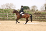 SBM_002239