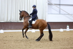 SBM_009704