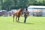 Class 98 - Retraining of Racehorse In Hand portfolio