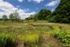 Rocher Bog