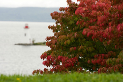 Kidston Island Lighthouse, Baddeck