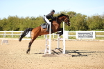 SBM_003388