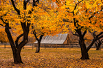 Fruita Barn