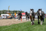 Guernsey Agricultural Show 2021-167