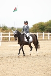 SBM_000536